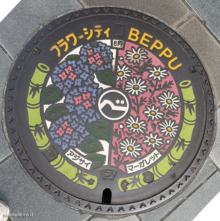 Beppu - Drainage - Flower City Caps Series - Hydrangea and Garden marguerite