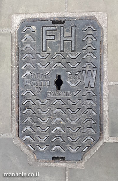 London - water - a small lid with a unique shape - fire hydrant 2