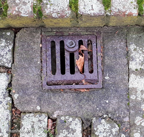 London - A small drain cover with a locking button