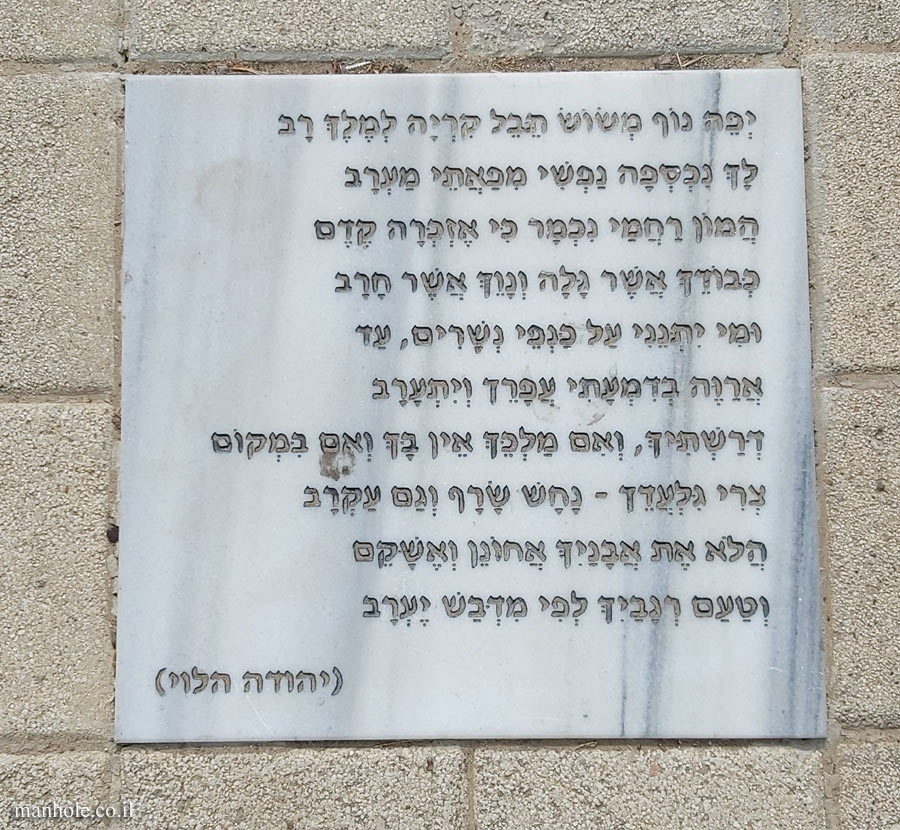 Tel Aviv University - Entin Square tiles - Yefe Nof (Yehuda Halevy)