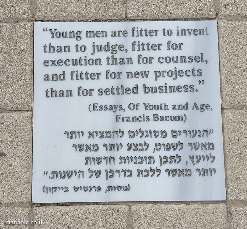 Tel Aviv University - Entin Square tiles - About Youth (Bacon)