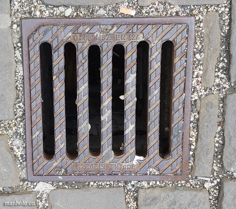 Budapest - A drain cover with bumps on it