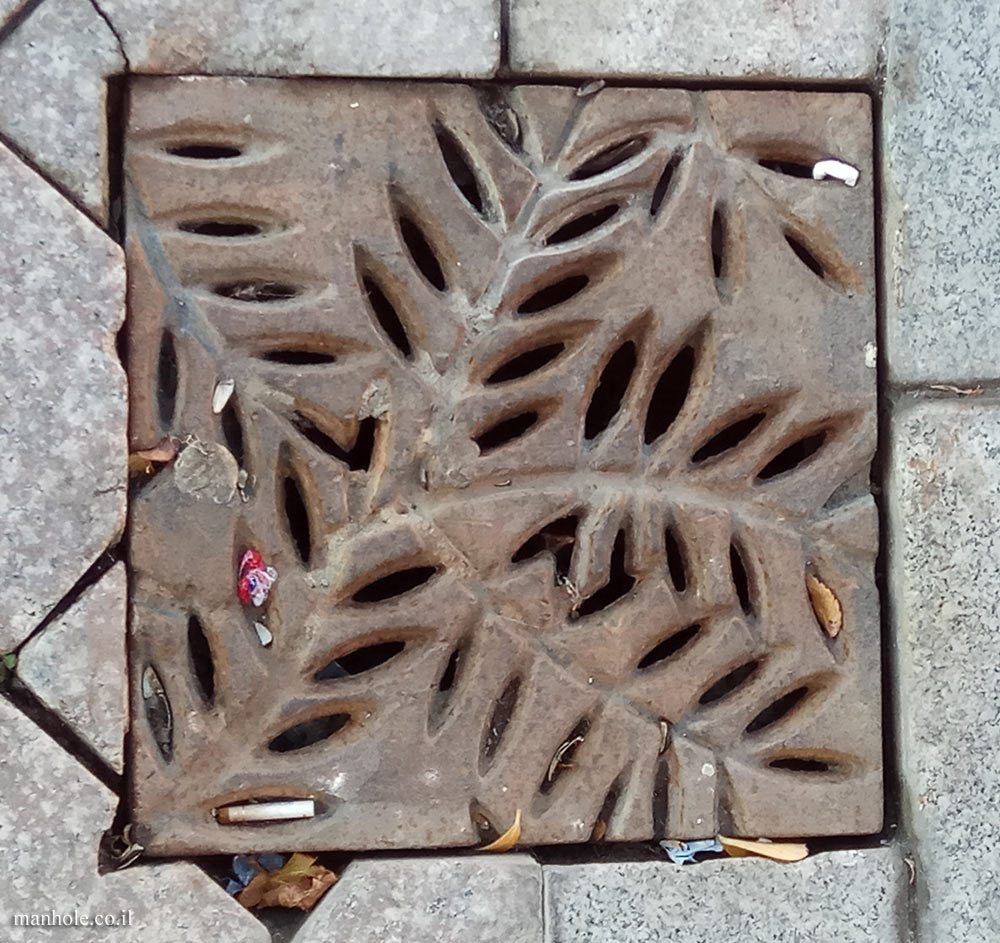 Baku - Drain cover with grooves in the shape of tree leaves