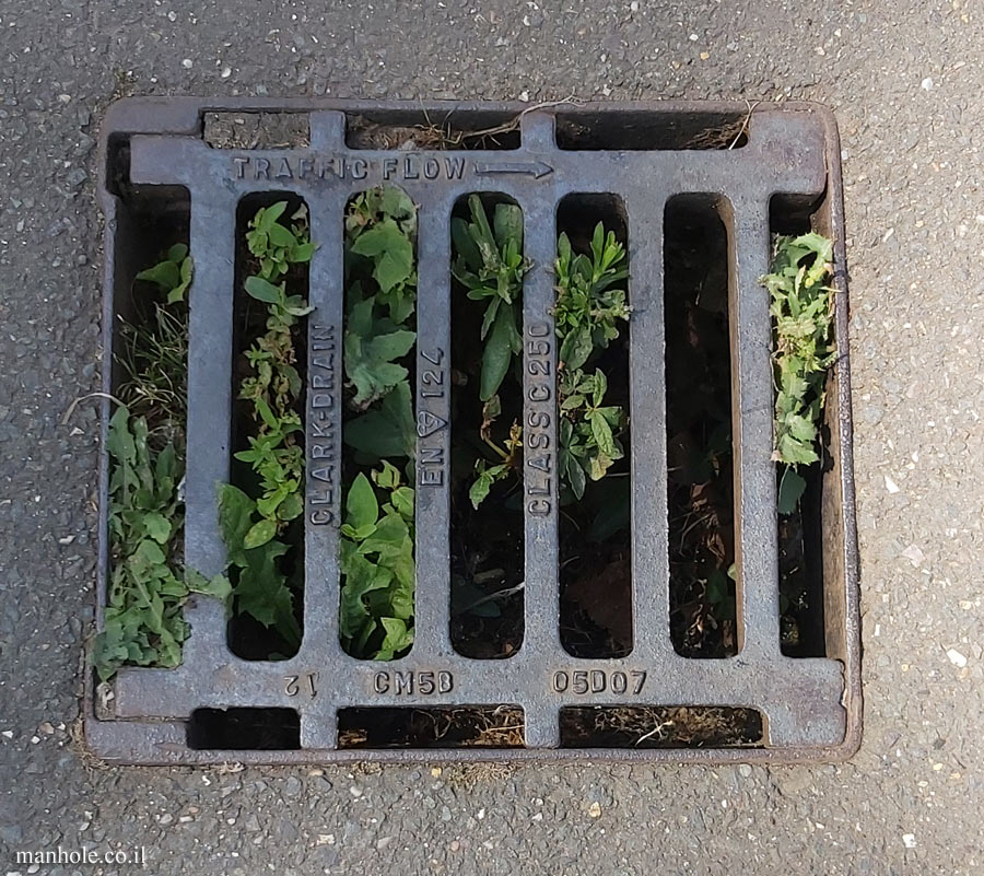 Richmond (London) - A Network of grooves drainage - CLARKDRAIN
