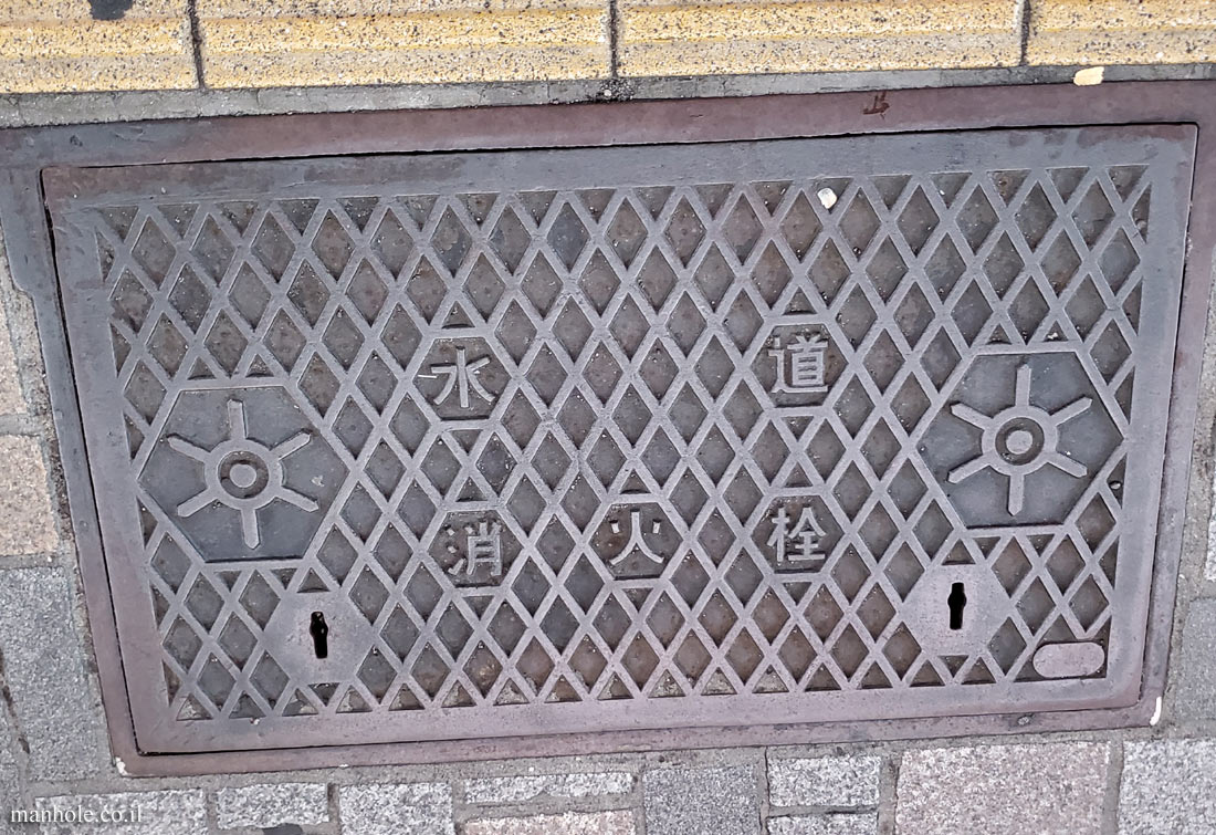 Tokyo - fire hydrant - rain water (2)