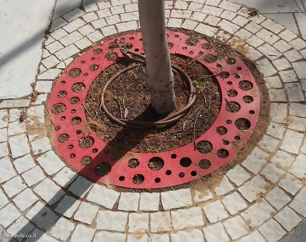 Ramat Gan - A Tree grate with holes in different sizes