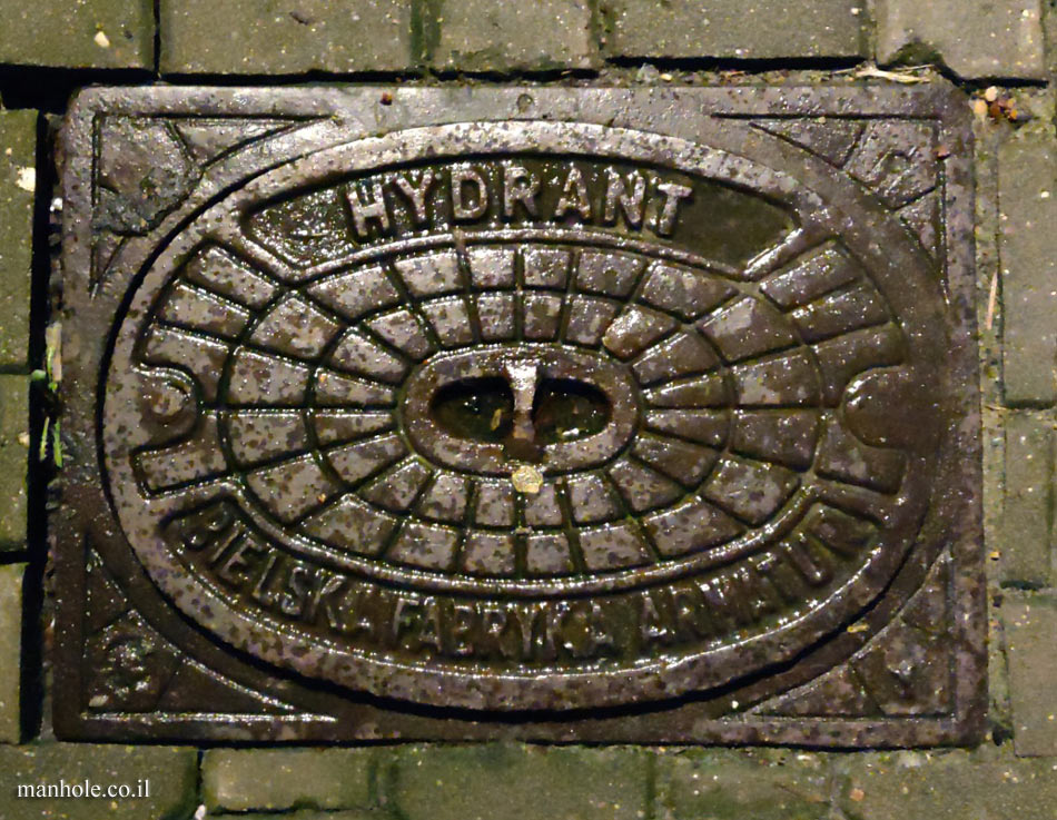 Warsaw - Hydrant 