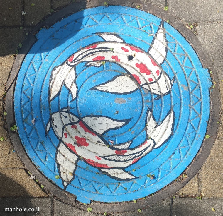 Voronezh - a lid on which two fish are drawn in a circle