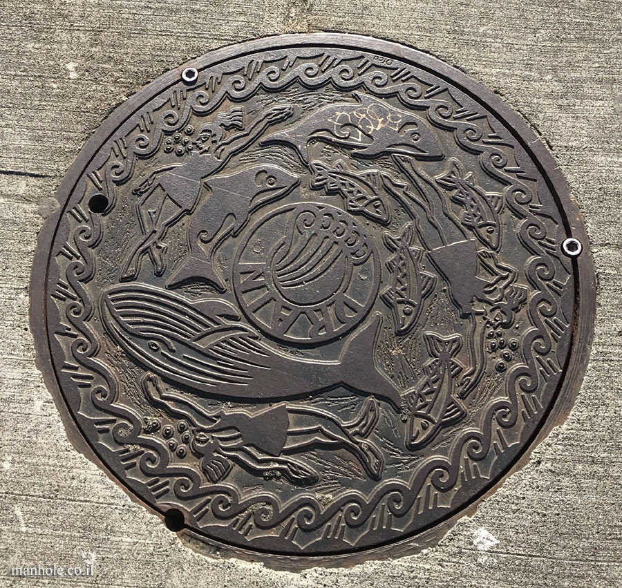 Seattle - Designed drainage cover