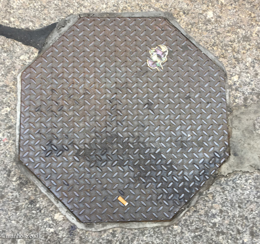 New York - An octagonal lid
