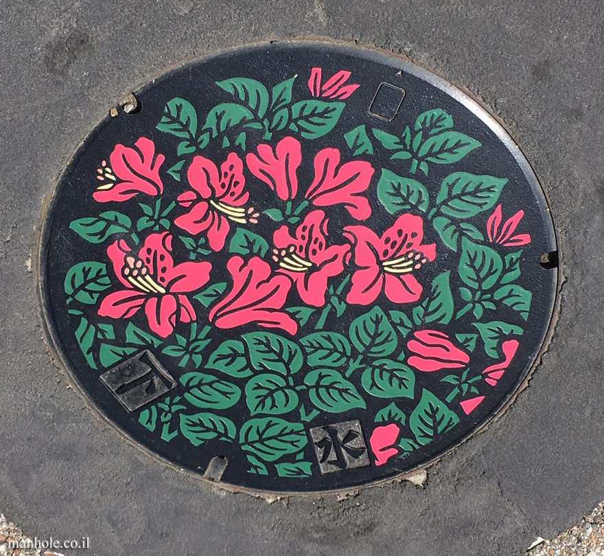 Takayama - A colorful sewage cover with a floral background