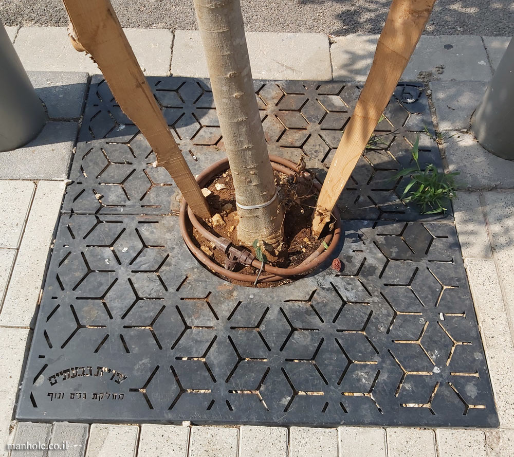 Givatayim - A tree grate with a background of hexagons (2)