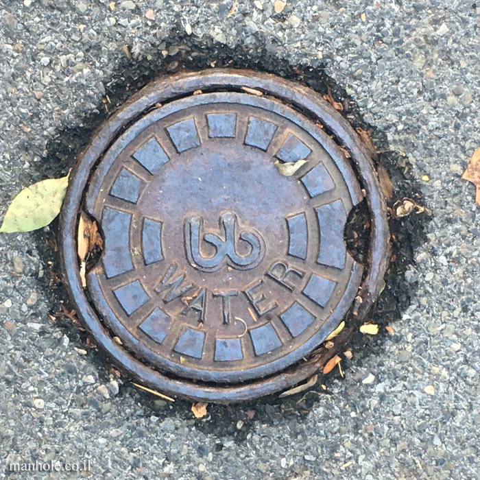 Ithaca - Small water cap