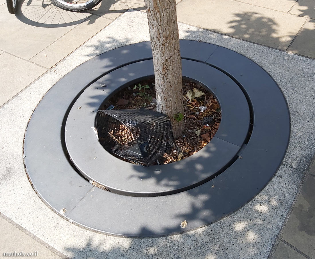 Oxford - A Tree grate made up of 2 rings