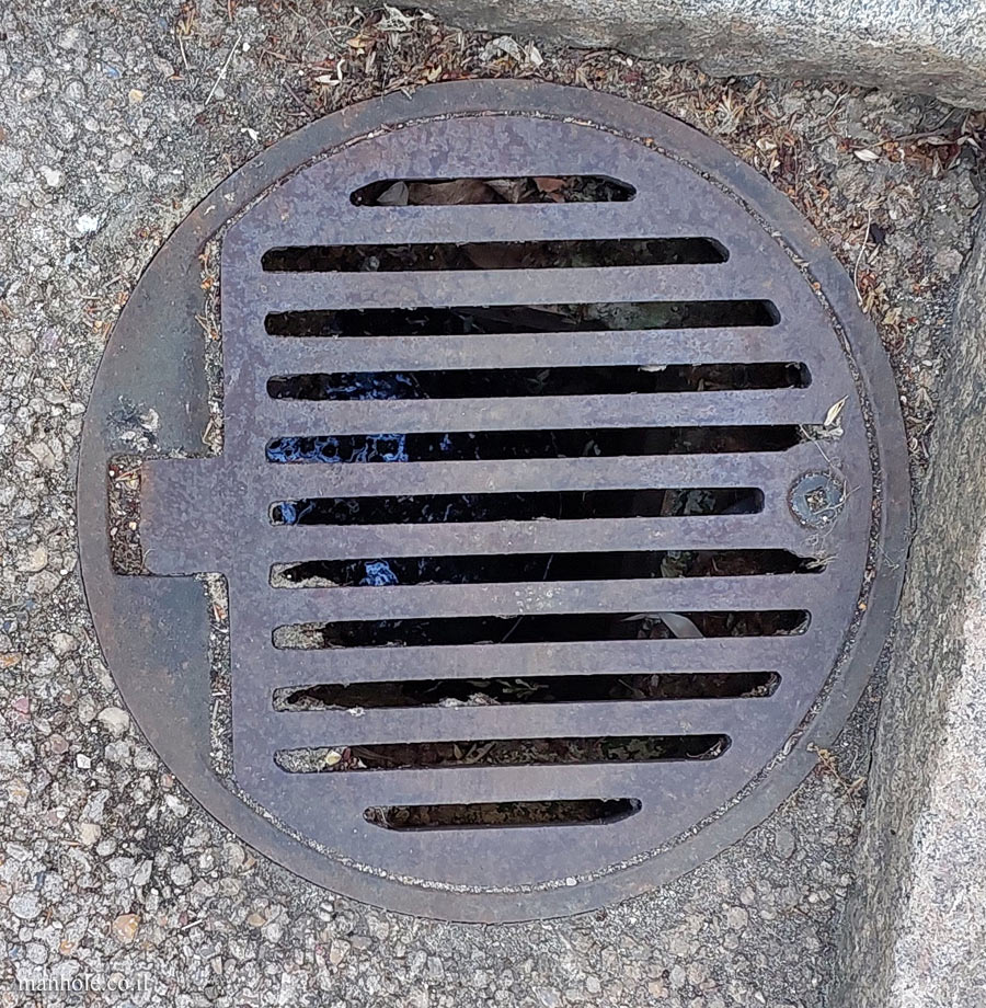 London - Drain cover with lifting hinge