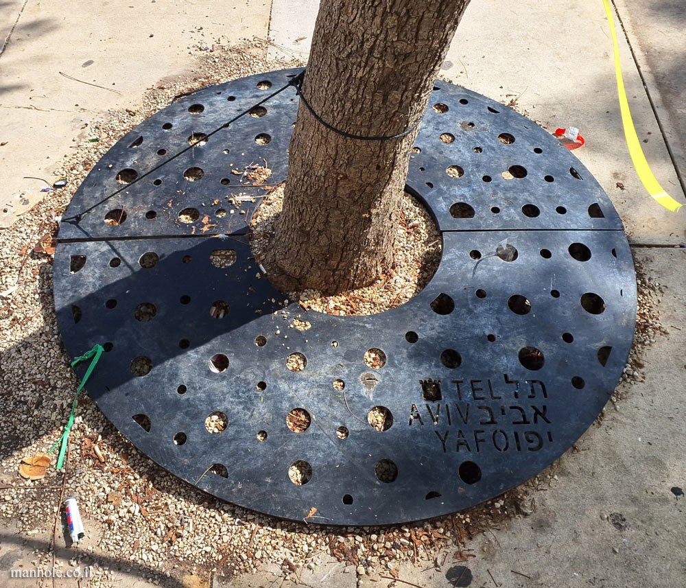 Tel Aviv - A Tree grate with holes in different sizes